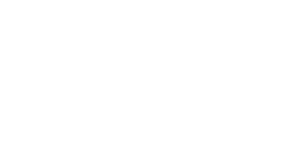 bnn Logo